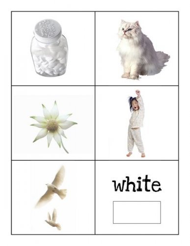 906e9687bb976a54742d350c4738f9f1.jpg