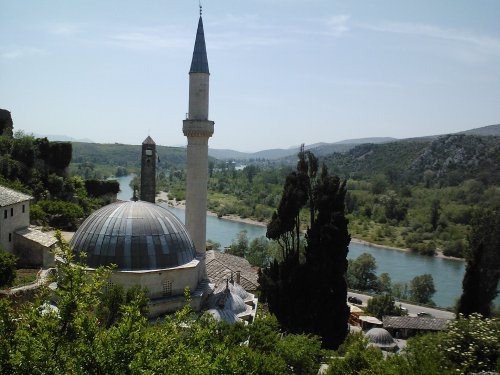 IMG473.jpg