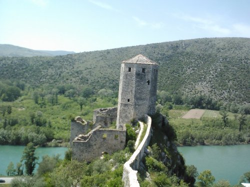 IMG474.jpg