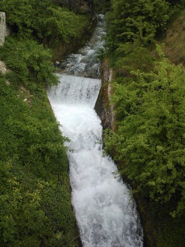 IMG552.jpg