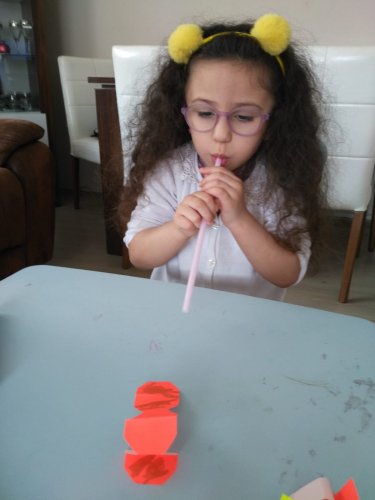 WhatsApp Image 2020-05-05 at 15.03.49.jpeg