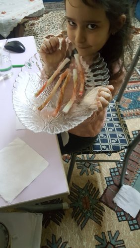 WhatsApp Image 2020-05-05 at 15.59.02.jpeg