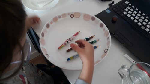 WhatsApp Image 2020-05-05 at 15.57.35.jpeg