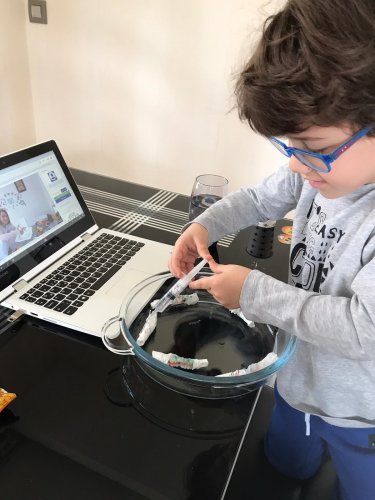 WhatsApp Image 2020-05-05 at 15.55.40.jpeg