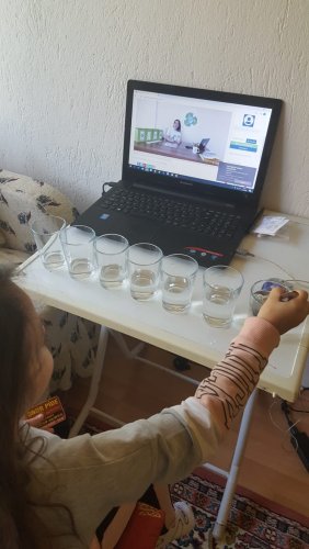 WhatsApp Image 2020-05-06 at 16.15.12.jpeg